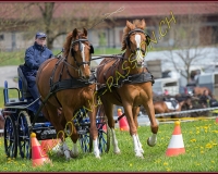 2POSIEUX 0240